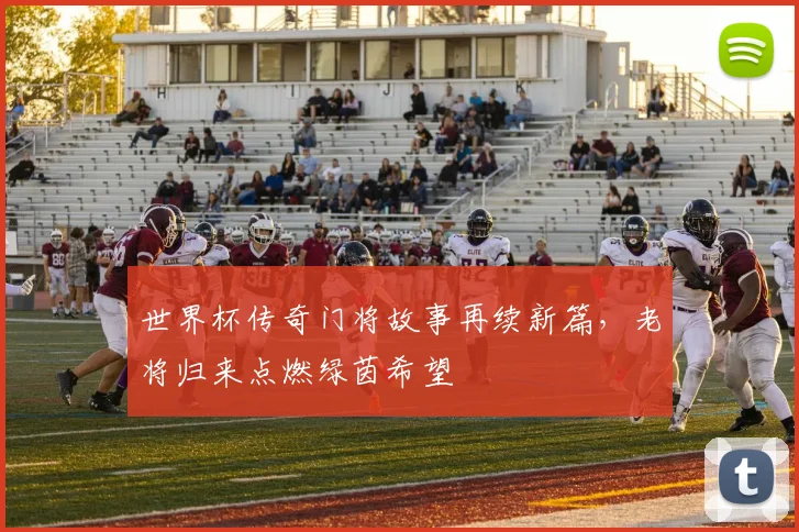 世界杯传奇门将故事再续新篇，老将归来点燃绿茵希望
