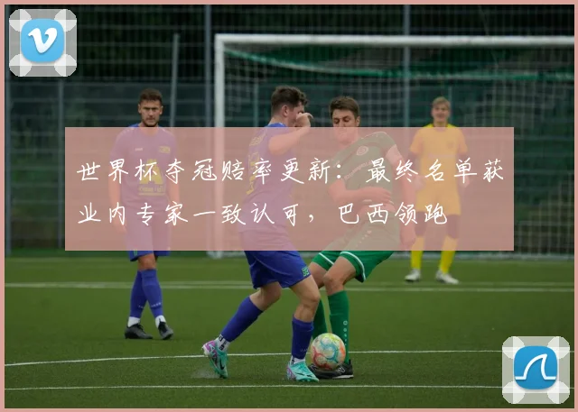 世界杯夺冠赔率更新：最终名单获业内专家一致认可，巴西领跑