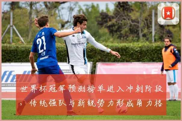 世界杯冠军预测榜单进入冲刺阶段，传统强队与新锐势力形成角力格局