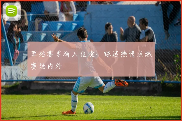 草地赛季渐入佳境，球迷热情点燃赛场内外