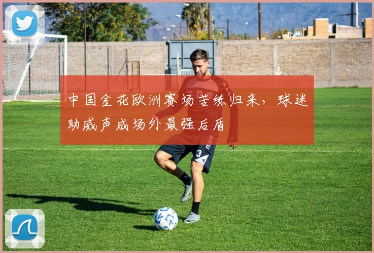 中国金花欧洲赛场苦练归来，球迷助威声成场外最强后盾