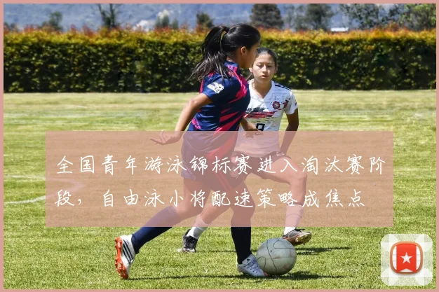 全国青年游泳锦标赛进入淘汰赛阶段，自由泳小将配速策略成焦点