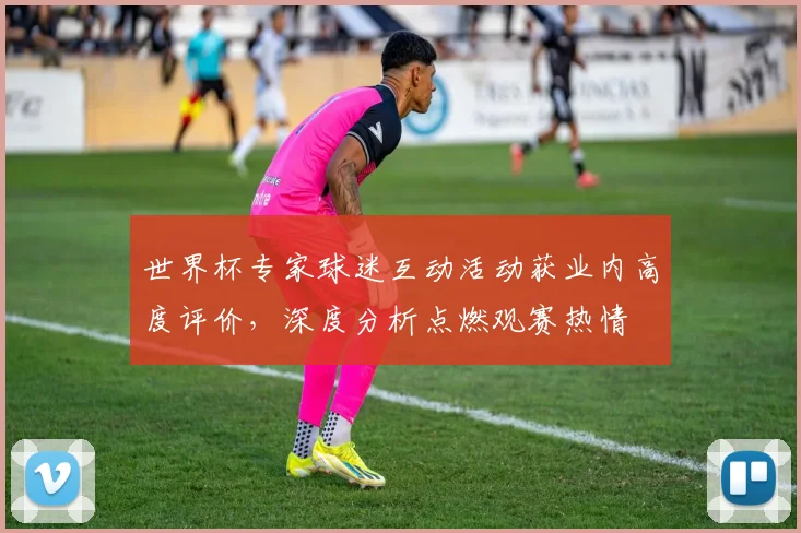 世界杯专家球迷互动活动获业内高度评价，深度分析点燃观赛热情