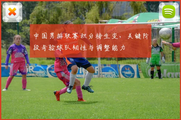 中国男排联赛积分榜生变，关键阶段考验球队韧性与调整能力